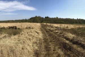 2019/04 - Idstedt-Runde