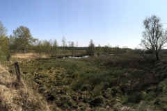 04/2019 - 205