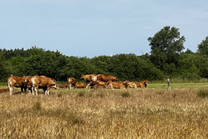 2023/06 Idstedt-Runde