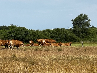 2023/06 Idstedt-Runde