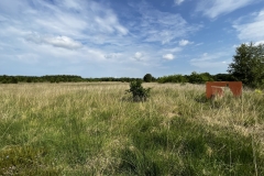 20230624-Idstedter-Moor-02