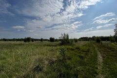 20230624-Idstedter-Moor-03
