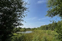 20230624-Idstedter-Moor-05