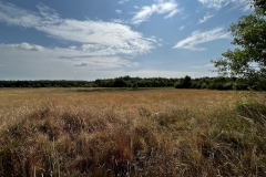 20230624-Idstedter-Moor-07