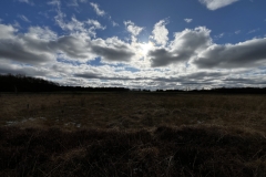 Idstedt-Runde im Winter 04