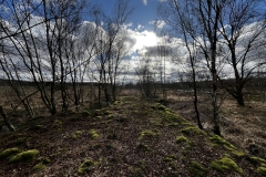 Idstedt-Runde im Winter 01