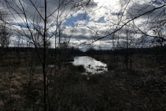 Idstedt-Runde im Winter 02