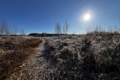 Idstedt-Runde im Winter 07