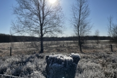 Idstedt-Runde im Winter 09