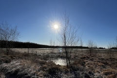 Idstedt-Runde im Winter 08