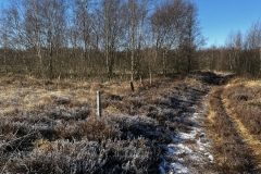 Idstedt-Runde im Winter 06
