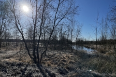 Idstedt-Runde im Winter 11