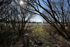 Idstedt-Runde im Winter 10