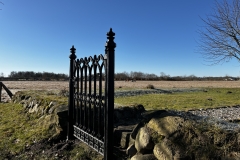 Idstedt-Runde im Winter 13