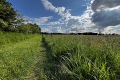 20240530_Idstedt-Runde_14