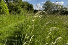 20240530_Idstedt-Runde_15