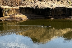 20240530_Idstedt-Runde_17