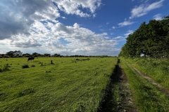 20240530_Idstedt-Runde_19