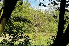 20240530_Idstedt-Runde_8