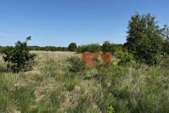 20250614-Idstedt-Runde-03