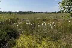 20250614-Idstedt-Runde-10