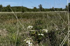 20250614-Idstedt-Runde-12
