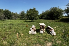 20250614-Idstedt-Runde-14
