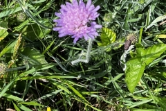 20250614-Idstedt-Runde-16