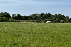 20250614-Idstedt-Runde-18