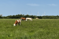 20250614-Idstedt-Runde-24
