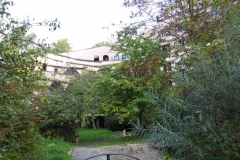 Hundertwasserhaus_(11)