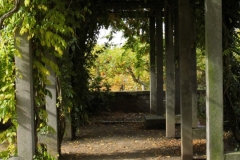 Mathildenhöhe_(24)