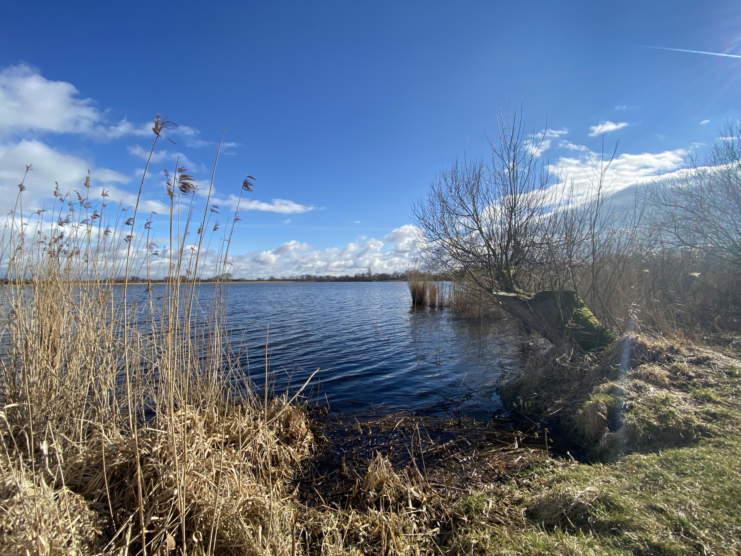 2021/​03 — Gam­mel­lun­der See