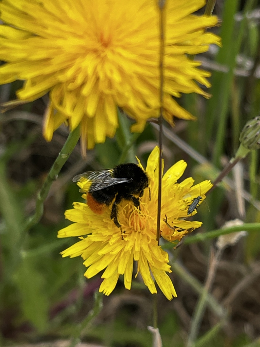 2023/​06 — Idst­edt-Runde — Update 6