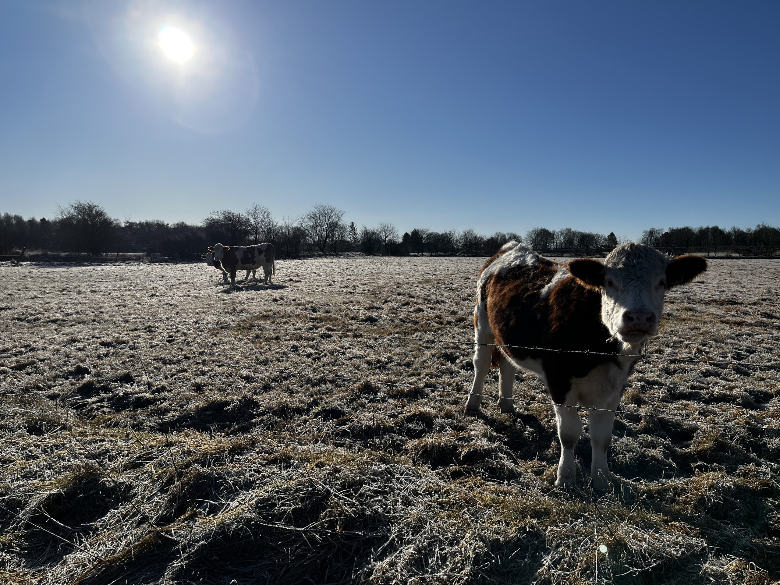 2025/​02 — Idst­edt-Runde — Update 8