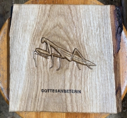 Gottesanbeterin